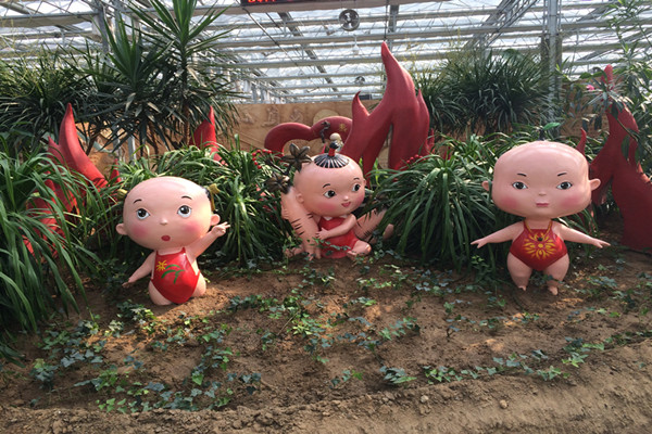 花卉种植基地