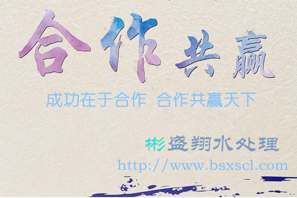 彬盛翔水处理