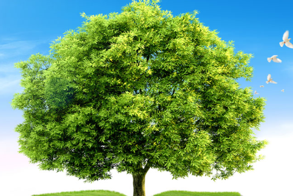 反渗透膜阻垢剂