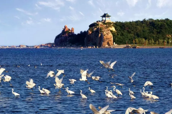 秦皇岛